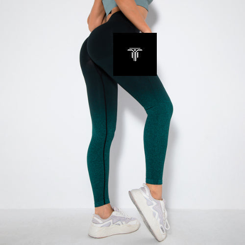 New Gradient Seamless Quick Drying Yoga Pants