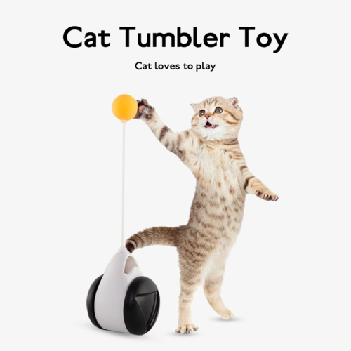 Gioco per gatto Sajishop, tazza con palla oscillante e ruota equilibrata in nero, stimolante e divertente per il felino.