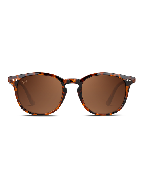 Occhiali da sole TWIG Concept Milano Bogart in nero ricco, montatura elegante e stile moderno.